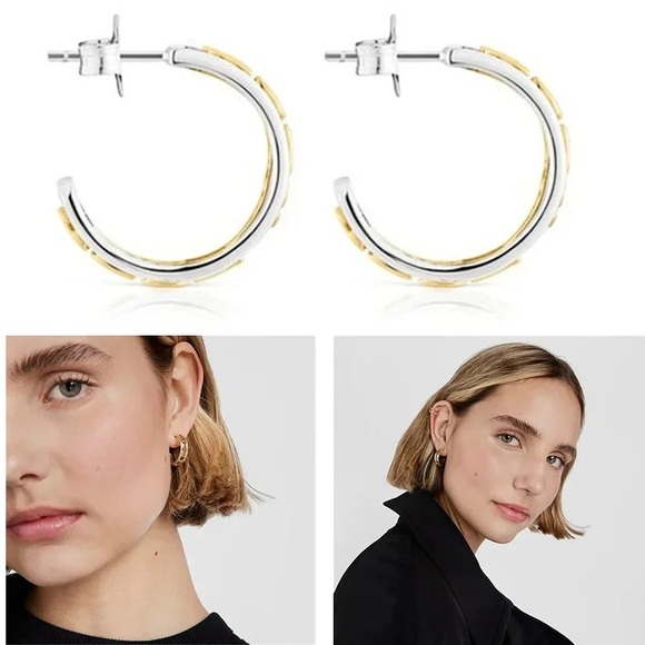 Tous Silver Iced Loops Long Bear Dangle Earrings - Picture 12 of 16